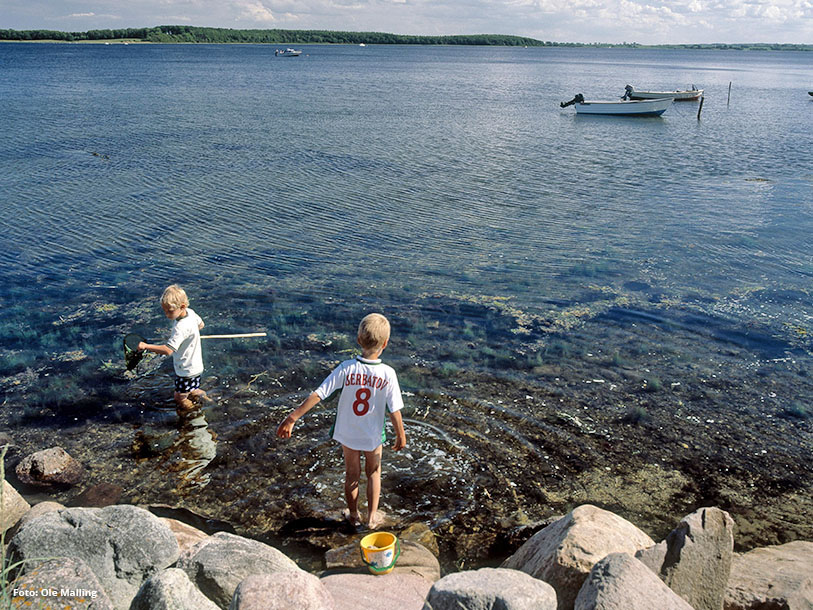 Comwell Roskilde ligger inte långt från den härliga Roskilde Fjord