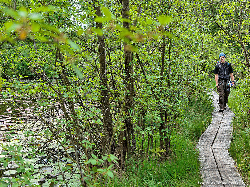 Det finns massor av fina vandringsleder i det natursköna landskapet kring Roskilde