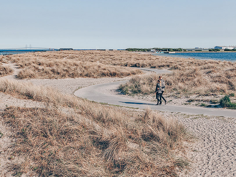 Amager Strandpark har en nästan 5 km lång vit sandstrand och utsikt mot Öresundsbron