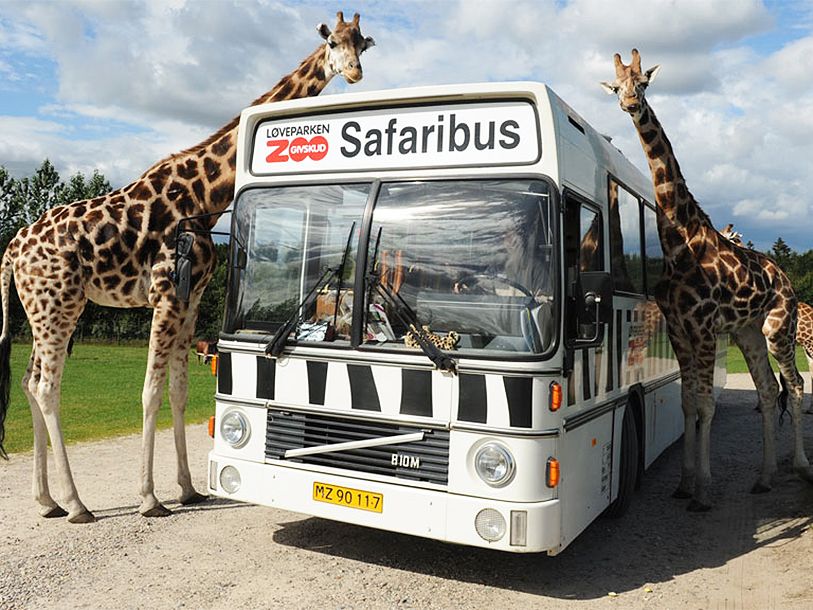I kan også besøge GIVSKUD ZOO med den berømte dyrepark, som man kan opleve i egen bil eller med Safaribussen