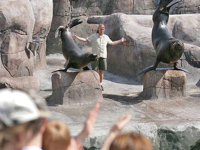 Aalborg Zoo har många spännande djur