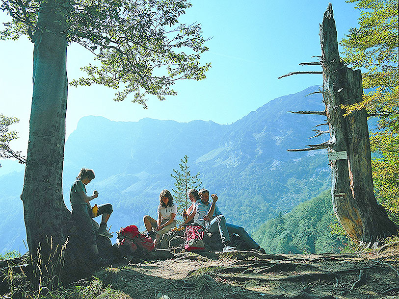 En pause på vandreturen i Bayerischer Wald er altid akkompagneret af naturens smukkeste scenerier