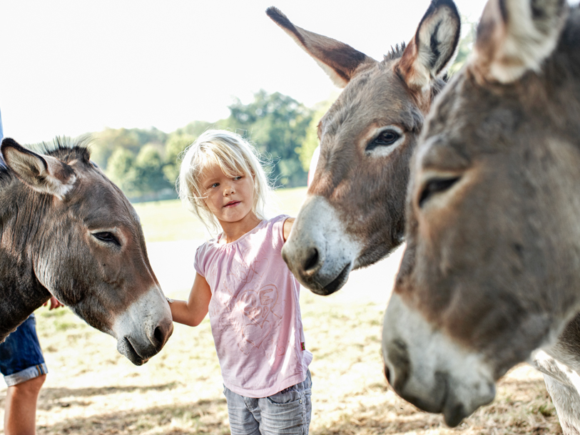 Besøg Knuthenborg Safaripark, der er Nordeuropas største
