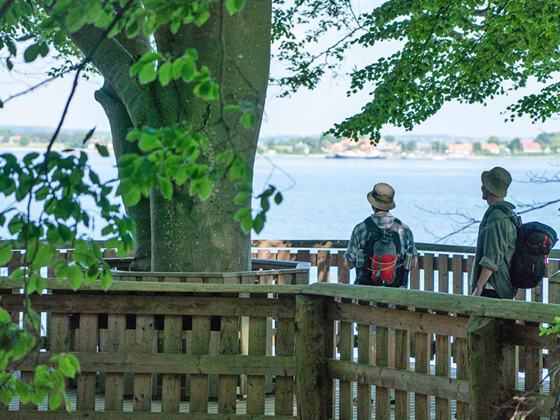 I kan bl.a. besøge fugletårnet ved Tønballe, hvor der er udsigt mod Hjarnø og Endelave