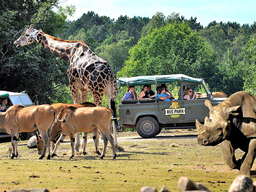 Eller tag forbi Ree Park Safari, der er en enestående chance for at komme helt tæt på savannens dyr