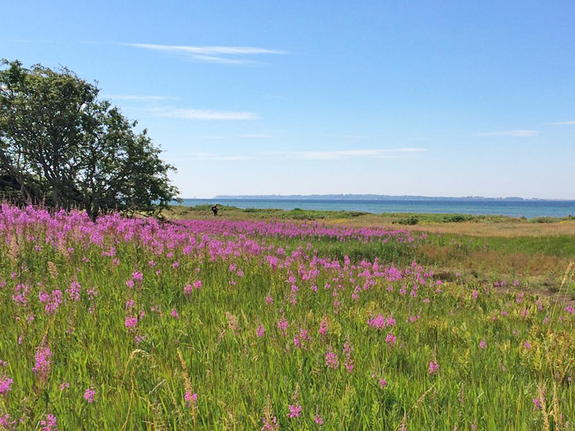 Sundsgården har ett naturskönt läge vid Örby ängar och här finner du en unika flora och fauna