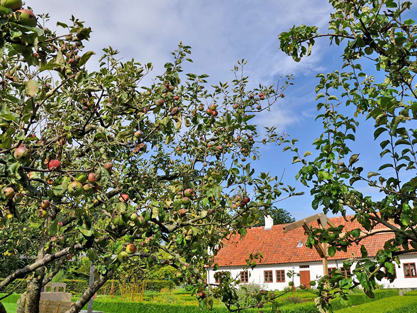 På en bilutflykt kommer du förbi många smultronställen i Sveriges sydligaste landskap, Skåne