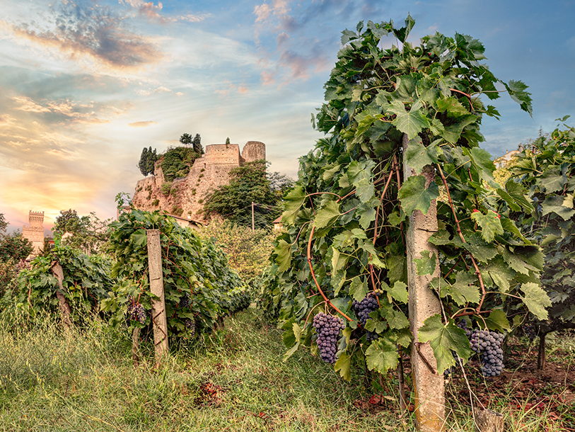 Toscana er også Italiens måske mest kendte vindistrikt