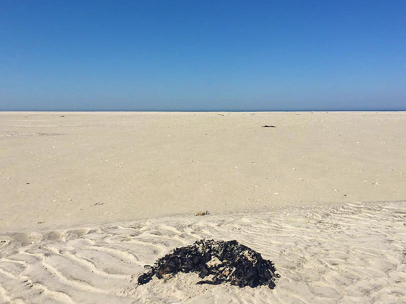 Læsø er om noget synonym med hav og høj himmel - en naturperle af den anden verden