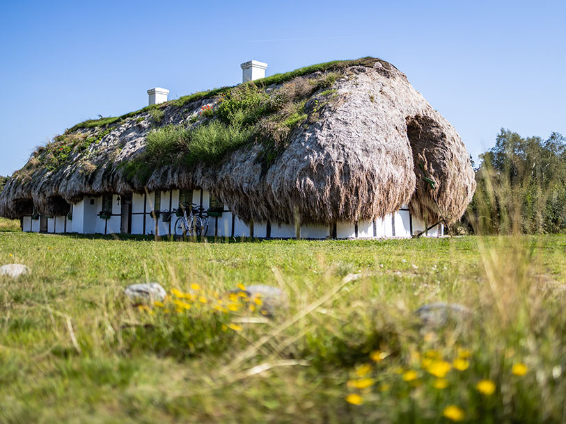 Dette enorme sølvgrå tangtag er et af de få tilbage på Læsø, hvor tanghuse engang var almindelige