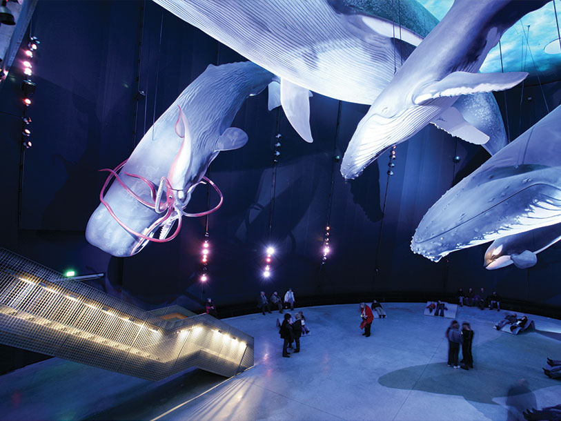 OZEANEUM är Stralsunds hypermoderna akvarium, där du kan komma nära havets hemligheter