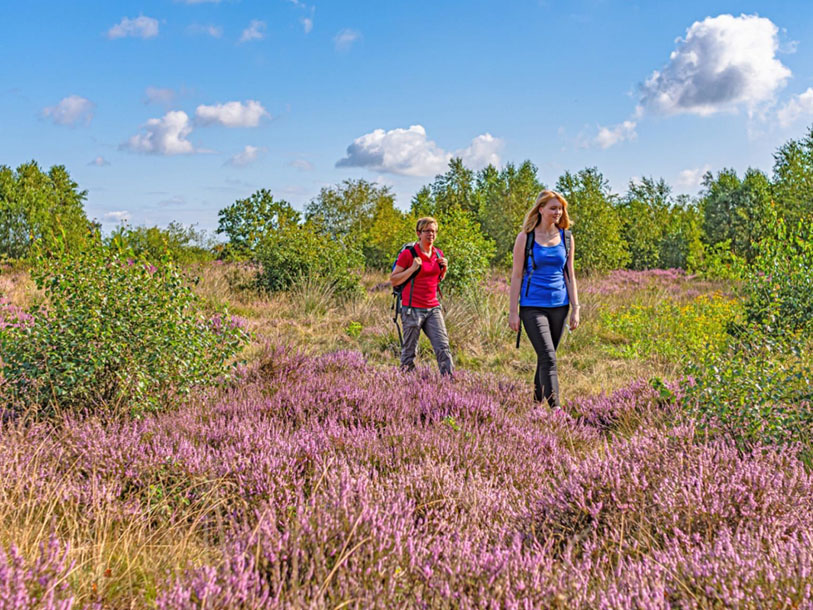 I bor også meget tæt på naturoplevelserne på Lüneburger Heide - uanset om I er i bil, på cykel eller gåben