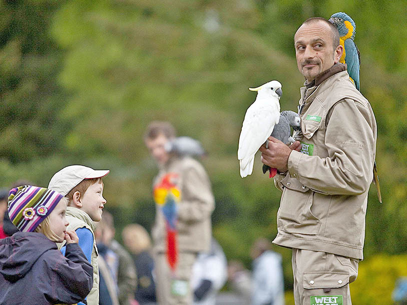 I kan også opleve Weltvogelpark Walsrode, der er verdens største fuglepark