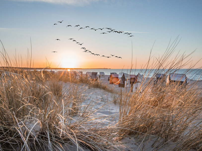 Välkommen till sol, sommar och sandstrand vid Östersjökusten där alla solstolar står sida vid sida