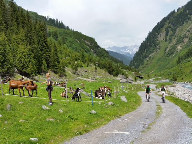 Denna alpina region bjuder på en imponerande variation av naturscenerier