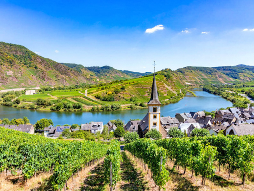 Mosel snor sig allermest ved byen Bremm