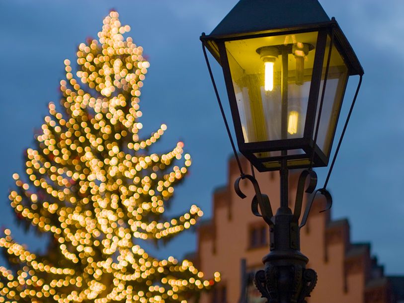 Upplev den stora julgranen på den berömda julmarknaden Gendarmenmarkt