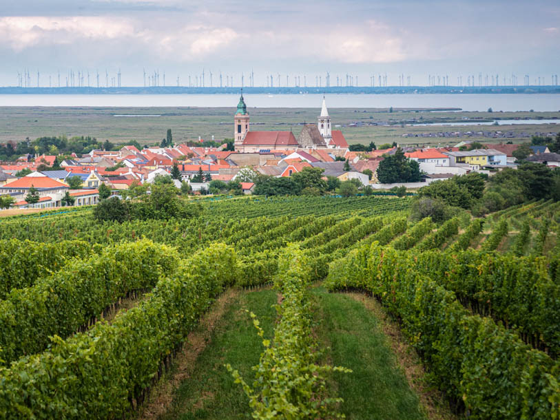 Besøg også vinbyen Rust ved Neusiedler See, der især er kendt for sin lange vintradition og sin produktion af søde vine