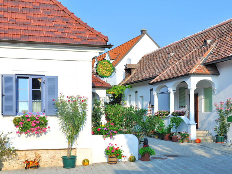 ... eller vinbyen Mörbisch ved Neusiedler See, der også er kendt for sit kulturelle liv og sin traditionelle arkitektur