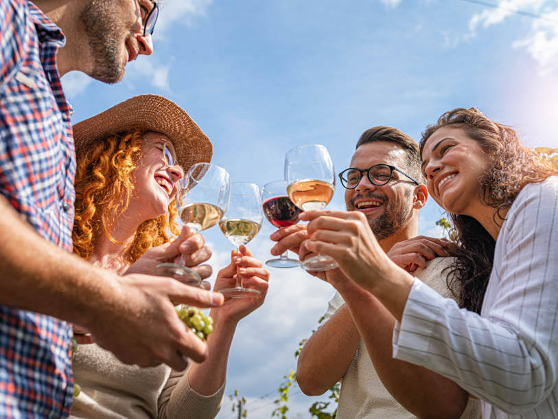 Smaka på de lokala Colli Berici DOC-vinerna!