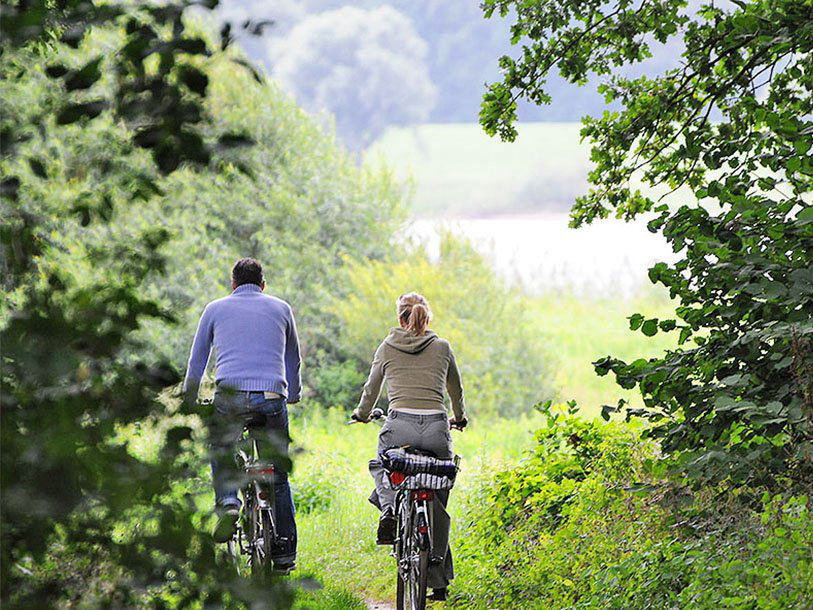 Oplev området fra cyklen, og få frisk vind i ansigtet på turen