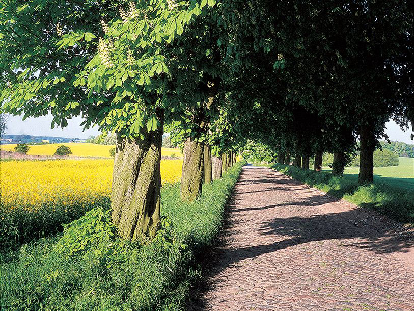 Mecklenburg-Vorpommerns landskabelige skønhed er som skabt til vandre- og cykelture