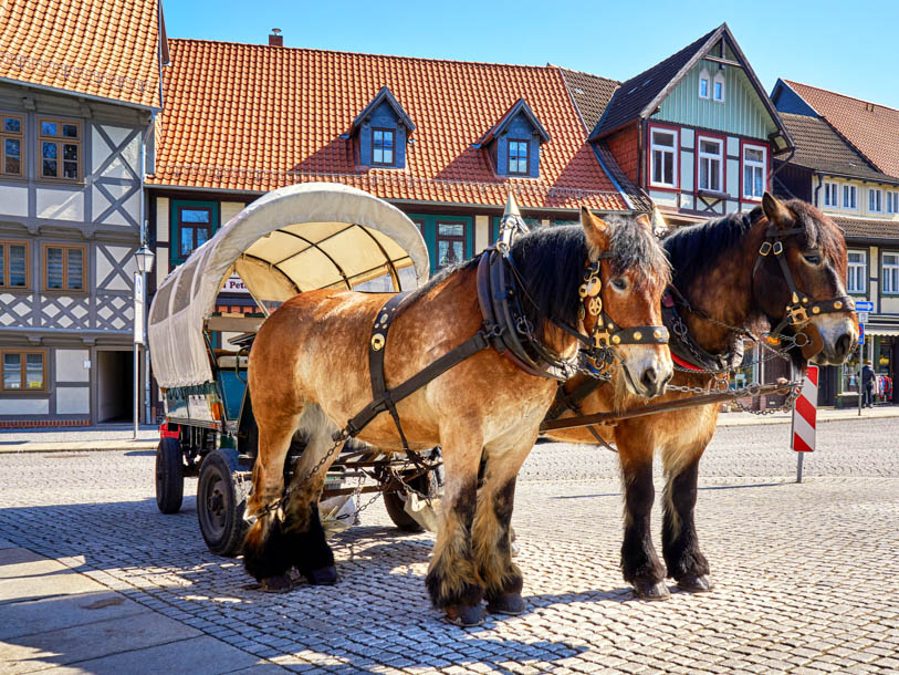 Det finns mysighet och atmosfär i Wernigerode - och flera olika sätt att ta sig runt på