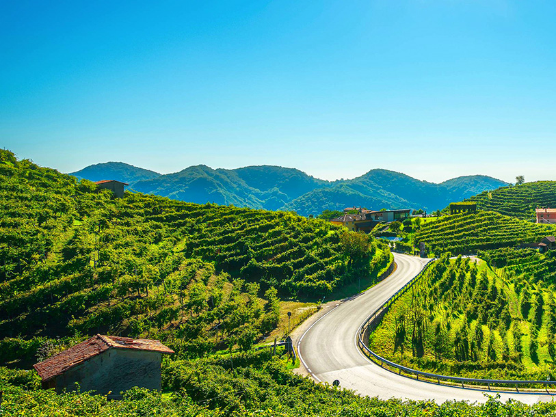 Strada del Prosecco med vinmarker så langt øjet rækker - og vingårde, der venter på at blive opdaget
