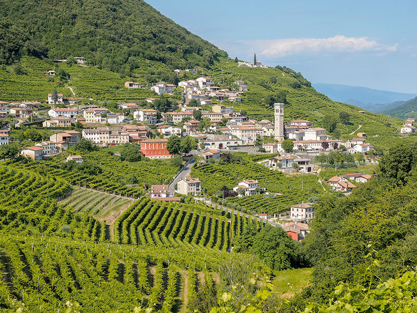 Det smukkeste landskab og den bedste Prosecco skulle efter sigende komme herfra: Valdobbiadene