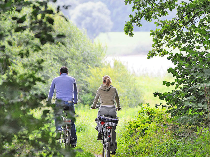 Tag cyklen med, og udforsk det smukke landskab langs idylliske småveje