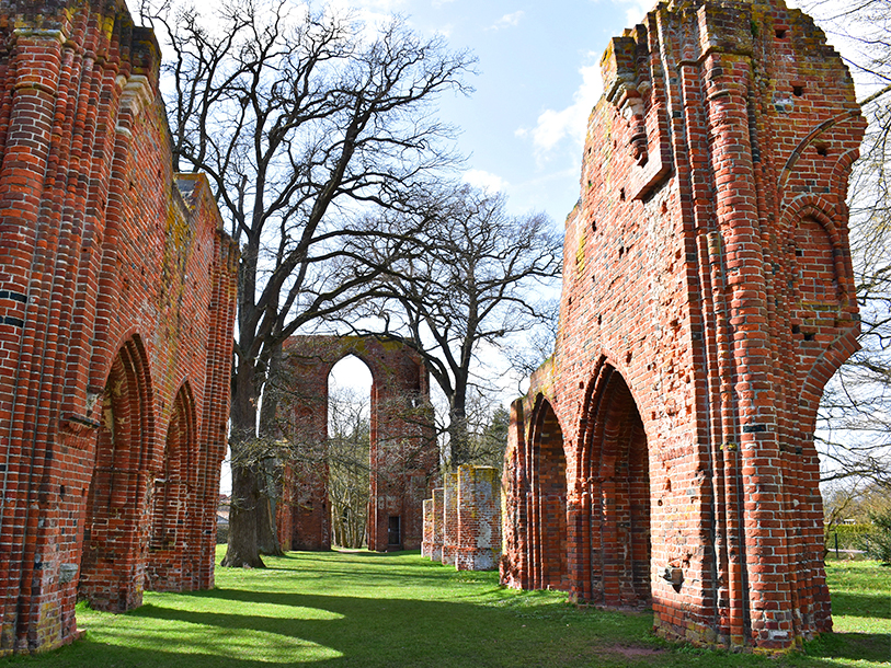 Greifswalds lange historie bevidnes bl.a. af de gamle klosterruiner