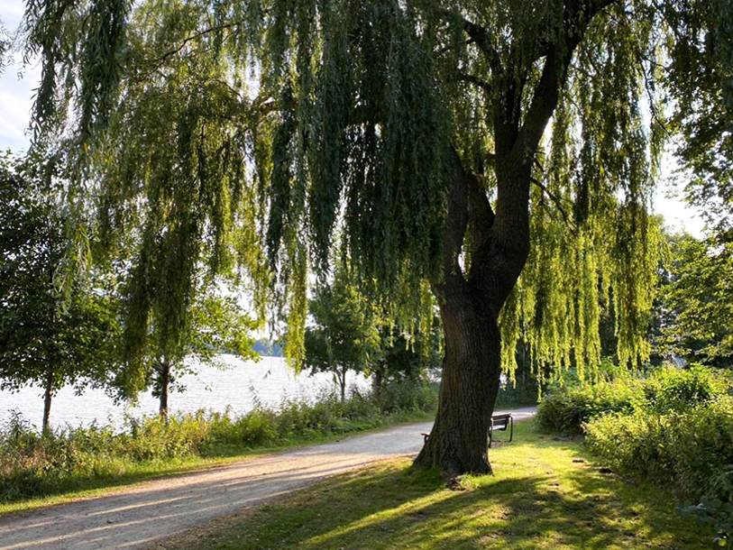 Den velanlagte promenade ved Vörder See indbyder til gåture