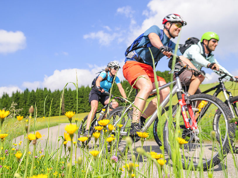 Der er masser af vitaminer i at udnytte de afmærkede stier til en cykeltur i nye omgivelser