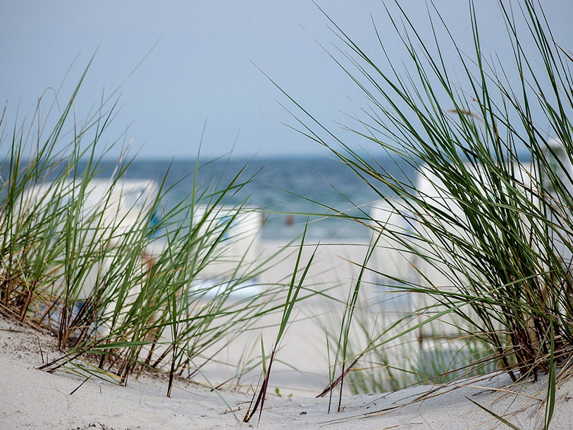 Langs Nordtysklands Østersøkyst breder den smukkeste hvide sandstrand sig