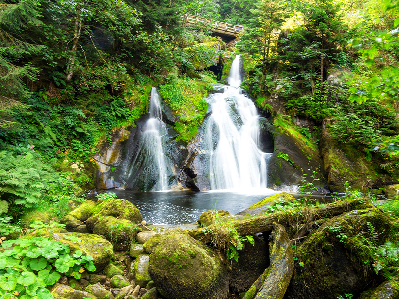 Triberg är Tysklands högsta vattenfall och ett av Schwarzwalds största naturikoner