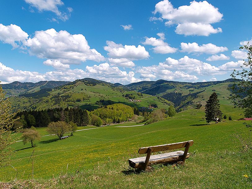 Natur, tradition och avkoppling i hjärtat av Schwarzwald