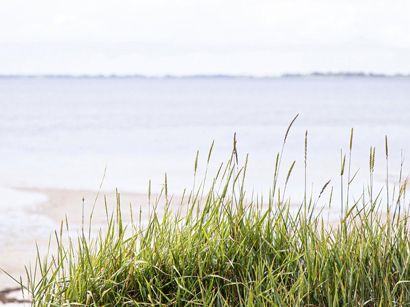 Strandhotellet ligger - som man säger - bara ett handdukskast från havet och stranden
