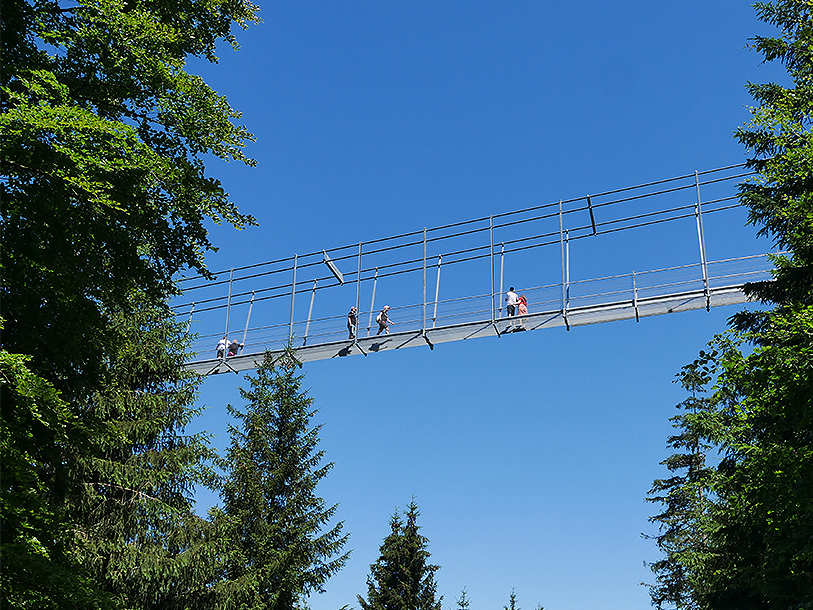 Gå ut på Skywalk Willingen och känn pirret medan utsikten öppnar sig åt alla håll