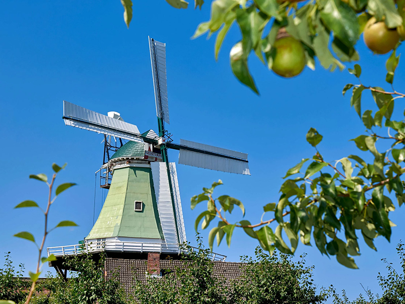Altes Land är fyllt med pittoreska detaljer © urlaubsregion-altesland