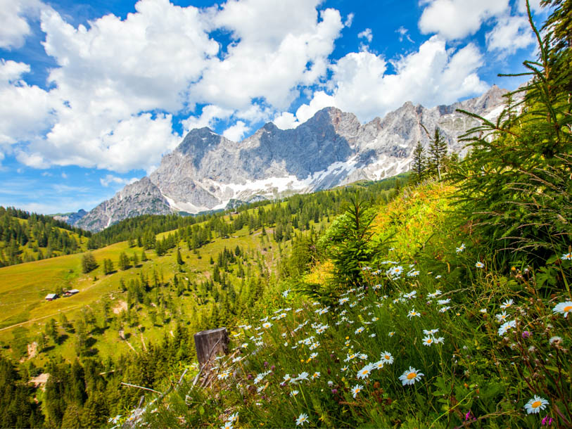 Semesterregionen Holzwelt Murau i Steiermark är en verklig naturpärla med oändliga möjligheter till upplevelser