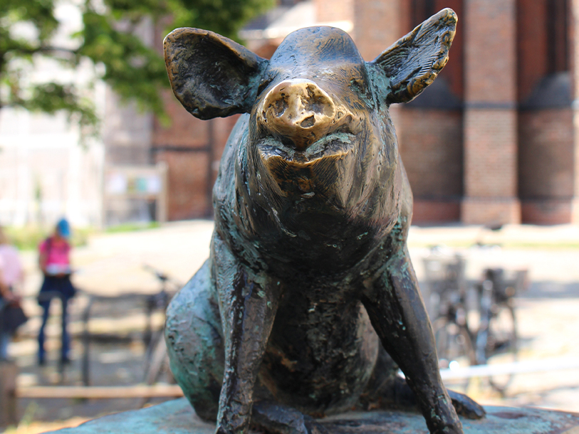 Se de sjove bronzegrise ved Schweinsbrücke - en lille, legende detalje i Wismar