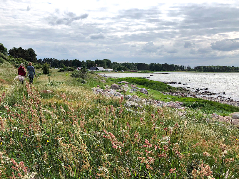 Tag på udflugt fra Holbæk med færgen til Orø - en perle med gode vandreruter i Isefjord