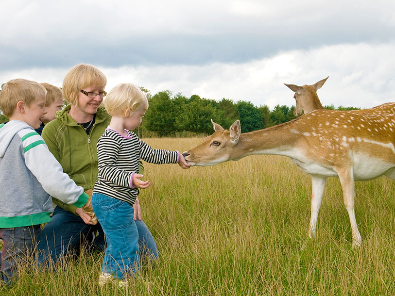 Besök också Skandinavisk Dyrepark i Kolind på Djursland