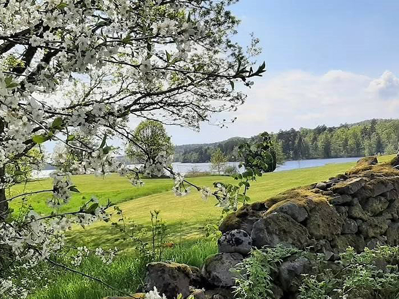 Alle tidspunkter på året har sin egen charme på Breanäs Hotell - fra den spæde vår...