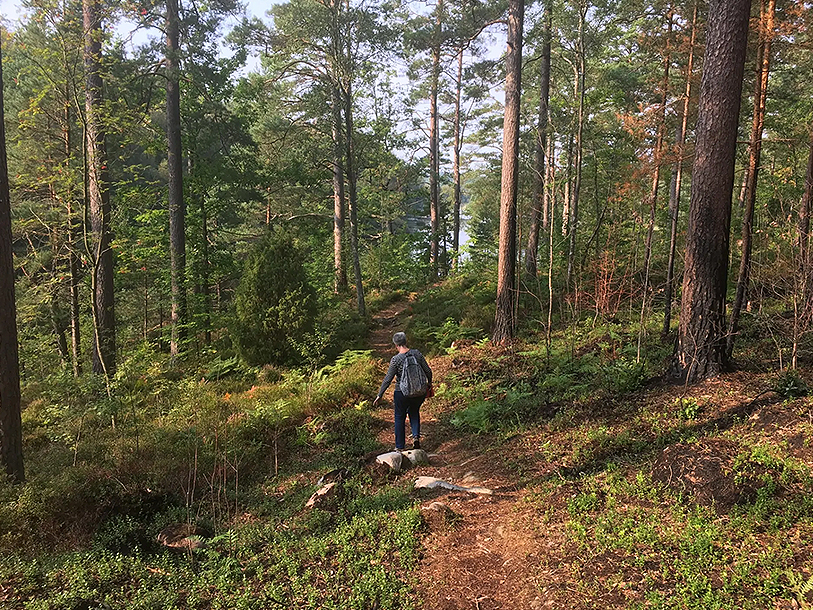 Glæd jer til at gå på opdagelse i den sydsvenske natur fra jeres lille oase ved Immeln