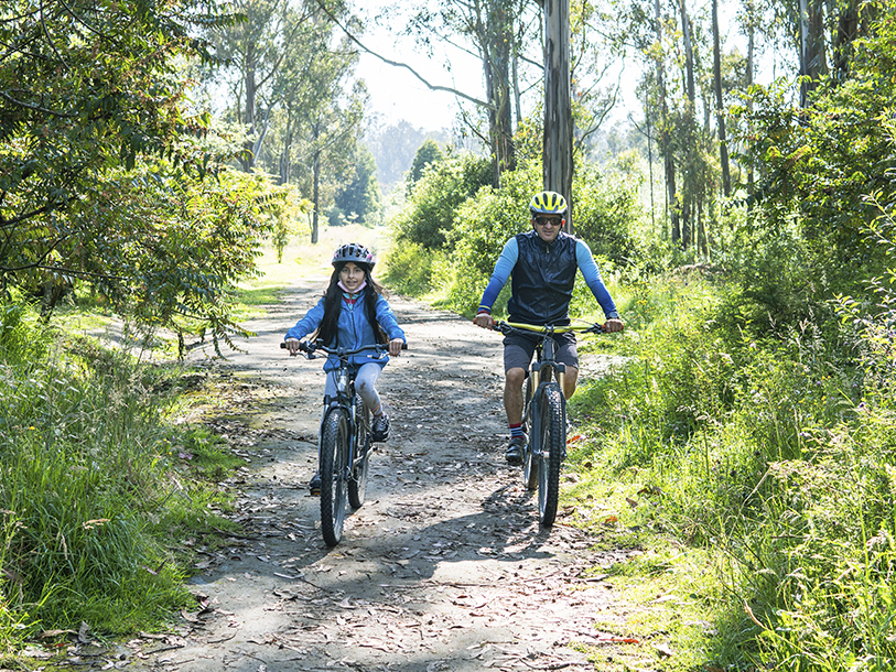 ... eller bruge en dag på cykel på de mange afmærkede stier