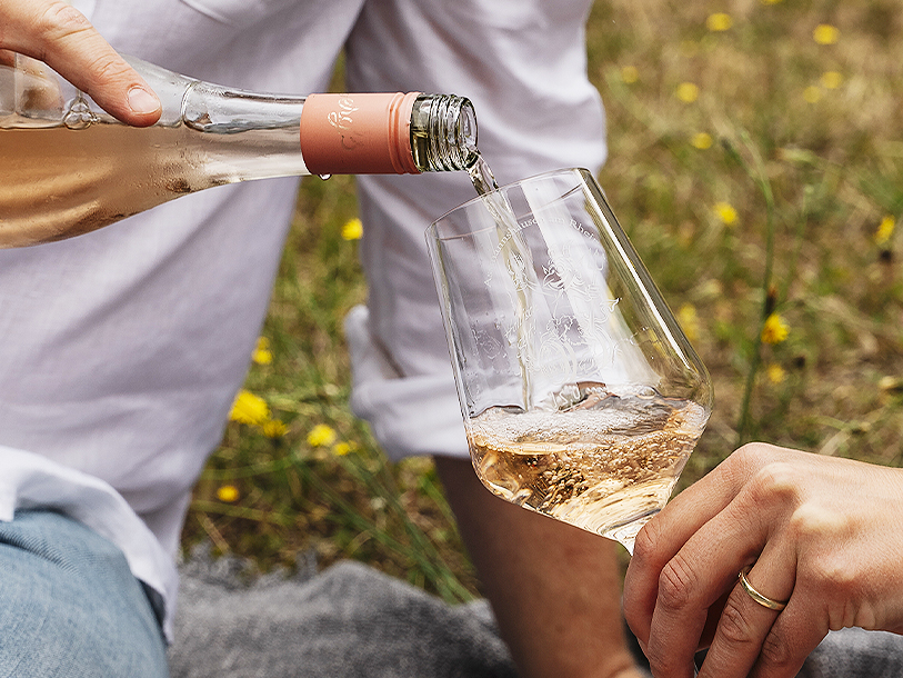 Se fram emot en provsmakning på familjen Bergs vingård; Weingut Konrad Berg & Sohn