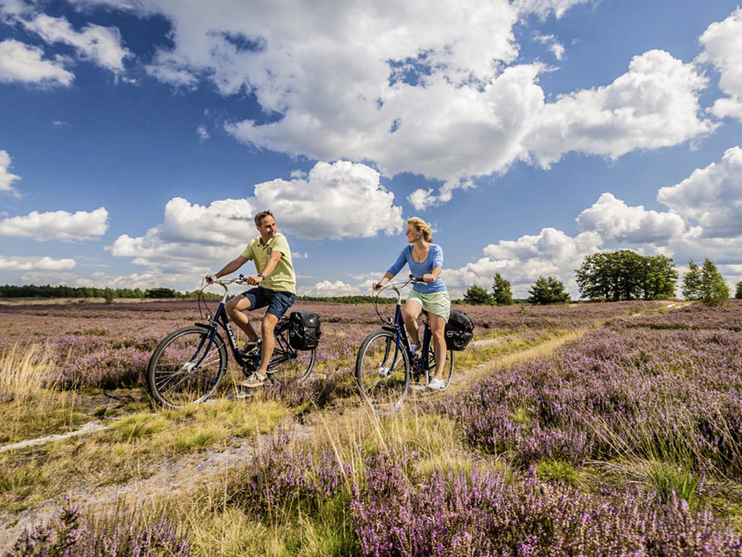 Lüneburger Heide byder på mere end 700 km vandre- og cykelruter