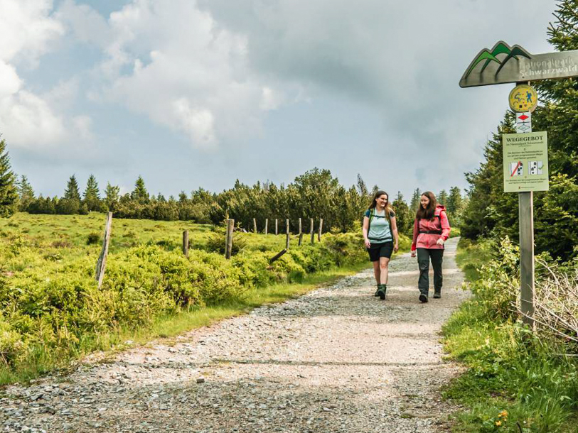 Vandreruter for både nybegyndere og erfarne naturelskere