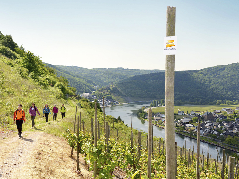 Moselsteig lockar många turister - och du kan följa etapp 24 genom Alken